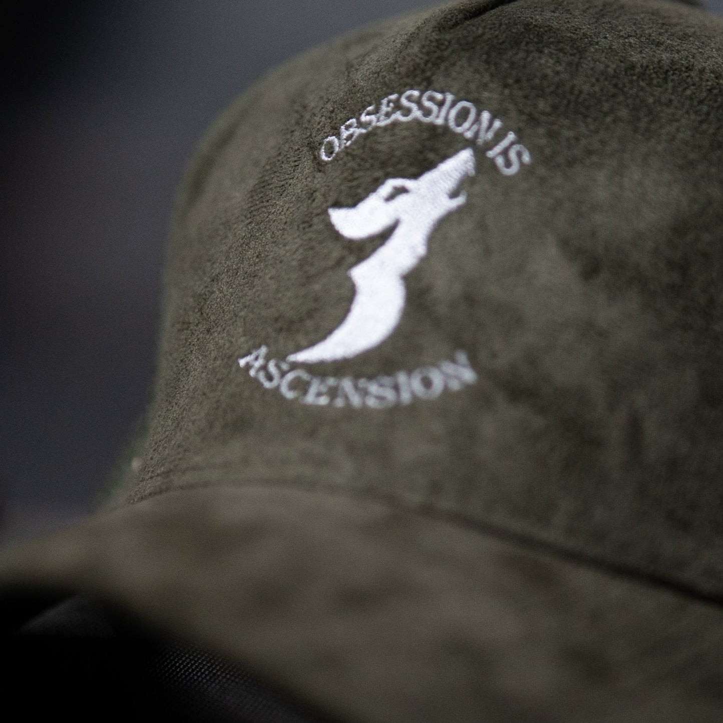 "Obsession Is Ascension" Hat